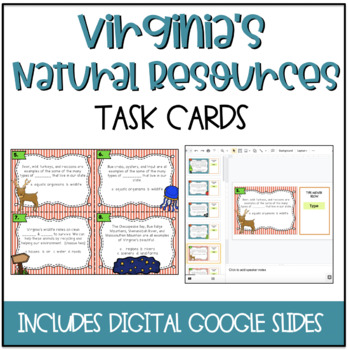 Preview of Virginia's Natural Resources Task Cards {DIGITAL}