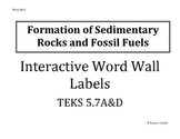 Science TEKS 5.7 A&D Interactive Word Wall Labels and Examples