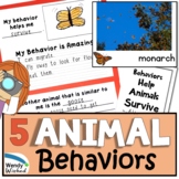 5 Animal Behavior Adaptations and Survival Activities