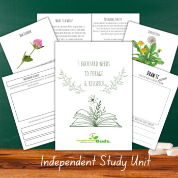Preview of 5 Backyard Weeds to Forage & Research- Independent Study Packet