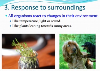 Preview of 5 Characteristics of Living Things/Organisms - Lesson Presentation, Video