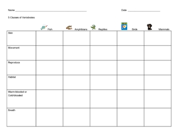 5 Classes of Vertebrates Chart by Anne Osborne | TpT