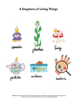 classification of living organisms for kids