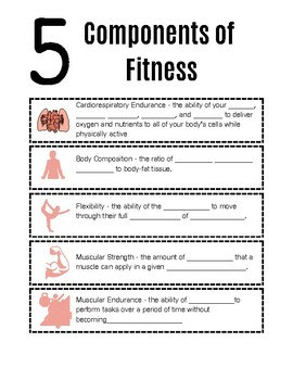 Fitness Components + Exercises