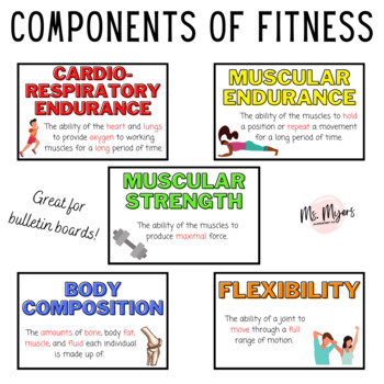 components of fitness essay