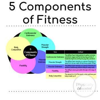 Preview of 5 Components of Fitness Graphics