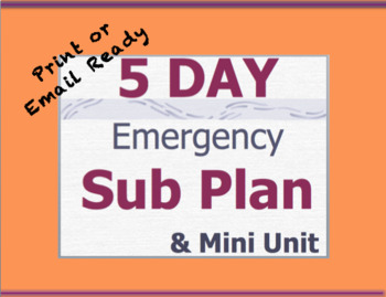 Preview of 5 Day English Sub Plans - Middle School or High School English Emergency Plans