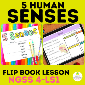 Preview of 5 Human Senses Lesson for 4th Grade NGSS Review Activity - Bulletin Board Lesson