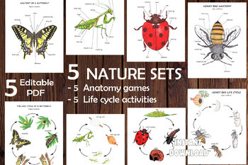 Preview of 5 NATURE SETS, Insects study, anatomy and life cycle prints, diagrams and cards