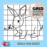 5 PACK Animal Grid Drawing Worksheets for Middle and High Grades