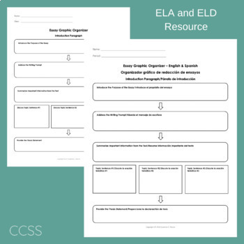 multi paragraph essay graphic organizer