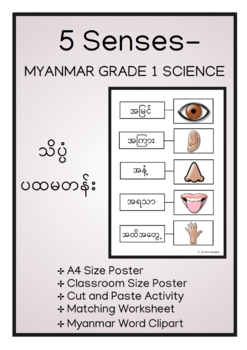 Preview of 5 SENSES- MYANMAR GRADE 1 SCIENCE