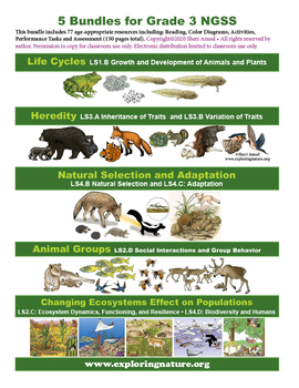 Preview of 5 Science Bundles for Grade 3 NGSS