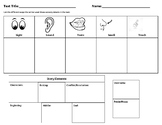 5 Sense Graphic Organizer