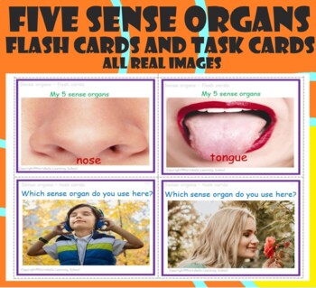 Preview of 5 Sense organs- Flash cards and task cards - with real images.