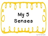 5 Senses