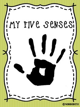 Preview of 5 Senses