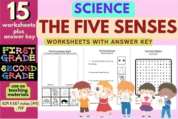 Preview of 5 Senses 1st Grade & 2nd Grade Worksheets & Teaching Materials | Science senses