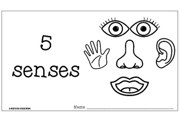 5 Senses by 2GiftedFriends | TPT