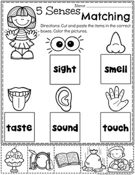 5 senses activities by planning playtime teachers pay teachers