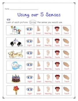 5 Senses Activities by Krafty Kim | Teachers Pay Teachers