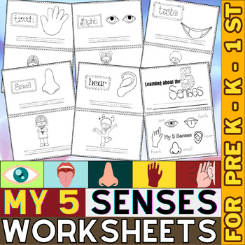 Preview of 5 Senses Worksheets and activity | Science Unit | My Five Senses | PreK, K & 1st