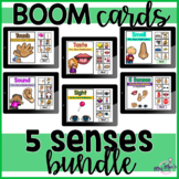 5 Senses Adapted Book Bundle