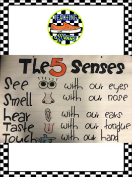 5 Senses Anchor Chart by TeachingNVans | Teachers Pay Teachers