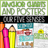 5 Senses Anchor Charts and Science Posters | Scientific Ob
