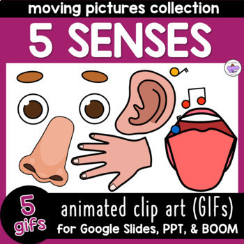 5 Senses Animated GIF Science Moving Clip Art by Little Patches ...