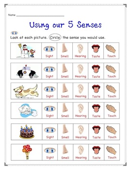 5 Senses Assessment by Krafty Kim | TPT