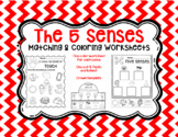 5 Senses Bundle: Worksheets & Crown