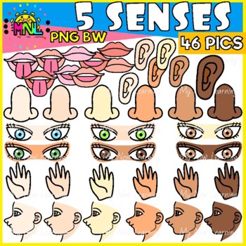 5 Senses Clipart Set by My New Learning | Teachers Pay Teachers