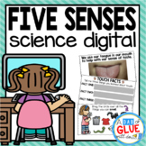 5 Senses Digital Science for Kindergarten Google Classroom 