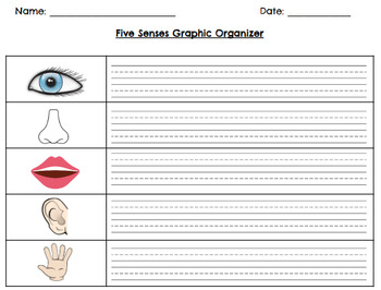 Preview of 5 Senses Graphic Organizer, Handwriting Lines, Differentiated, Writing/ Poetry