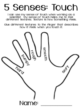5 Senses Hand by Teaching Independent Learners | TpT