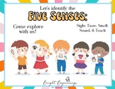 5 Senses Identification - Activity Booklet
