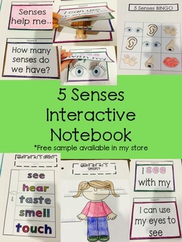 Preview of 5 Senses Interactive Notebook