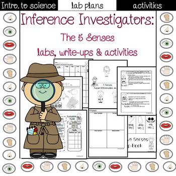 Preview of 5 Senses Lab sheets and activities