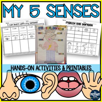 Preview of 5 Senses Activities