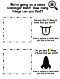 5 Senses Number Scavenger Hunt (English, Simplified Chines
