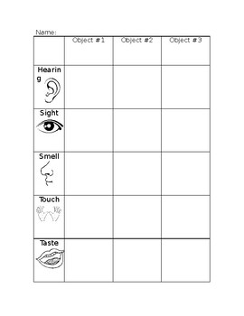 Preview of 5 Senses Observation Recording Sheet