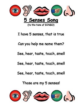 5 Senses Pack by Jamie Hueston | TPT