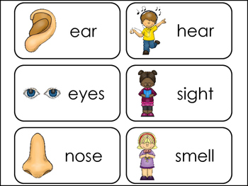 Preview of 5 Senses Picture and Word Preschool Classroom Flash Cards.