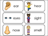 5 Senses Picture and Word Preschool Classroom Flash Cards.