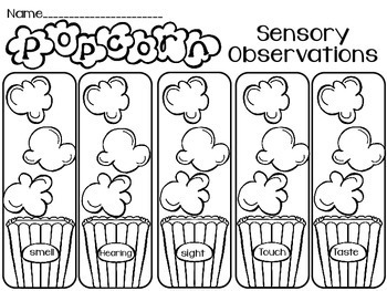 5 Senses - Popcorn Investigation FREEBIE by Sunny and Bright in Primary
