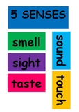 5 Senses Poster