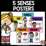 5 Senses Posters | Back to School Display