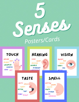 Preview of 5 Senses Posters/Cards