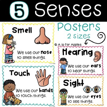 5 Senses Posters {FREEBIE} by A is for Apples | Teachers Pay Teachers